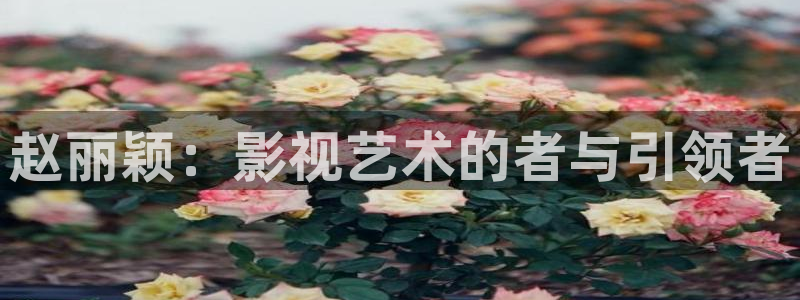 悟空tv：赵丽颖：影视艺术的者与引领者