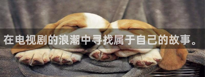 悟空影院手机免费观看：在电视剧的浪潮中寻找属于自己的故事。
