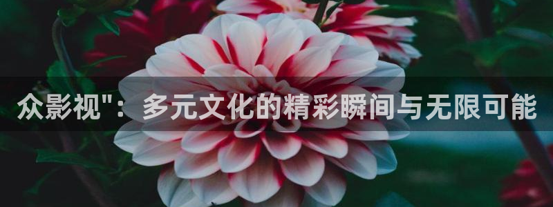 孙悟空视频大全免费观看：众影视\