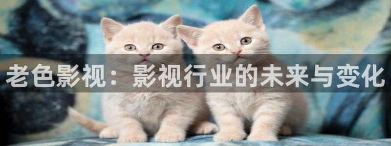 悟空视频：老色影视：影视行业的未来与变化