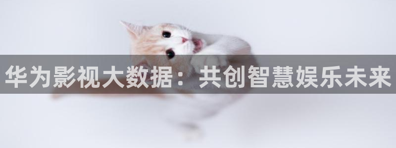 如来压孙悟空视频：华为影视大数据：共创智慧娱乐未来